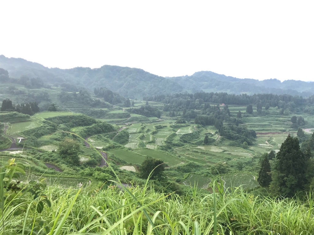 f:id:hitsujinomeeta2:20191201220658j:image f:id:hitsujinomeeta2:20191201220658j:image