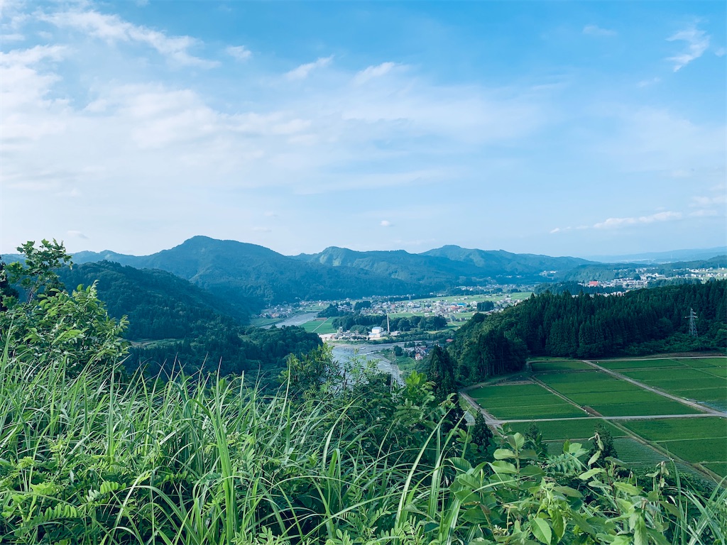 f:id:hitsujinomeeta2:20200723044922j:image f:id:hitsujinomeeta2:20200723044922j:image