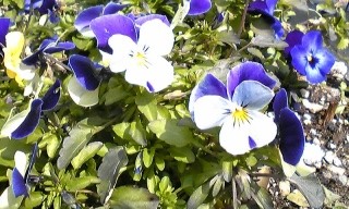 f:id:hitto:20100310003057j:image f:id:hitto:20100310003057j:image