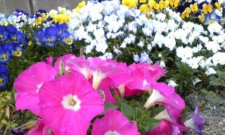 f:id:hitto:20100505005732j:image f:id:hitto:20100505005732j:image