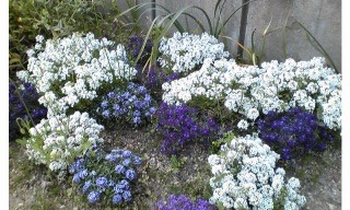 f:id:hitto:20100505005839j:image f:id:hitto:20100505005839j:image