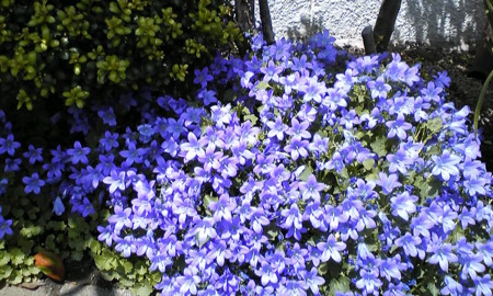 f:id:hitto:20100516105800j:image f:id:hitto:20100516105800j:image