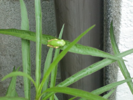 f:id:hitto:20120724111458j:image f:id:hitto:20120724111458j:image
