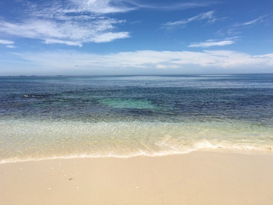 f:id:hituji-me-me:20190324233004j:plain f:id:hituji-me-me:20190324233004j:plain