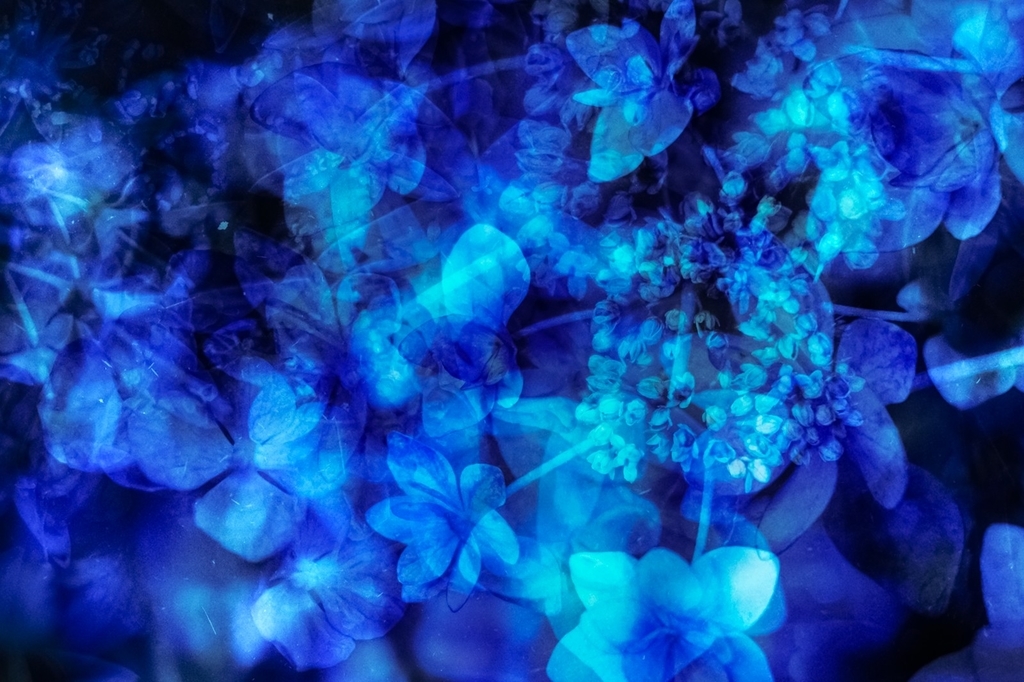 f:id:hituji0825:20190114235641j:plain