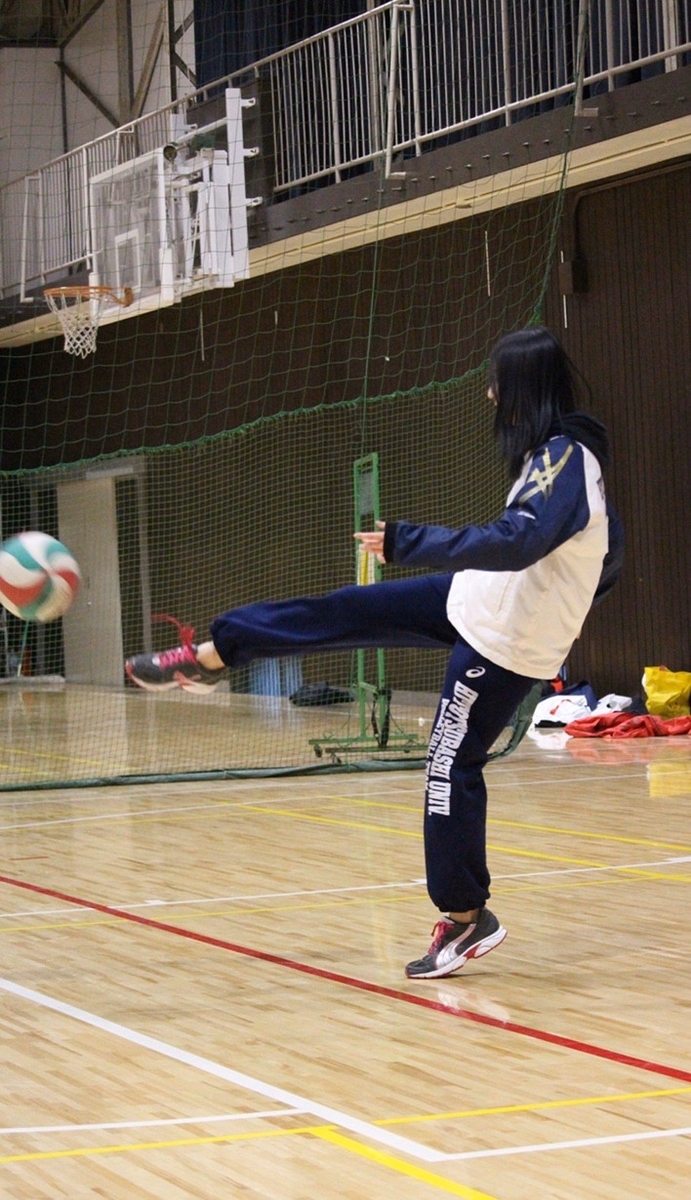f:id:hitvolley:20200514223256j:plain f:id:hitvolley:20200514223256j:plain