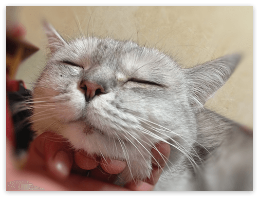 f:id:hivsma:20130805032940p:image:w240