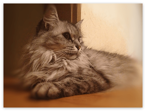 f:id:hivsma:20130805032941p:image:w240 f:id:hivsma:20130805032941p:image:w240