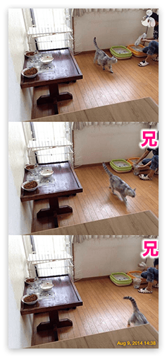 f:id:hivsma:20140817185830p:image:w240 f:id:hivsma:20140817185830p:image:w240
