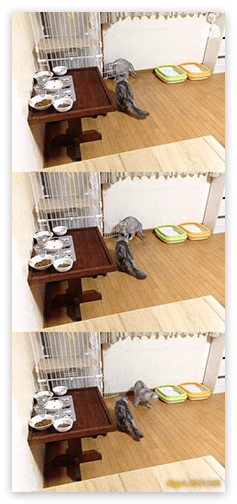 f:id:hivsma:20140817185832p:image:w240 f:id:hivsma:20140817185832p:image:w240