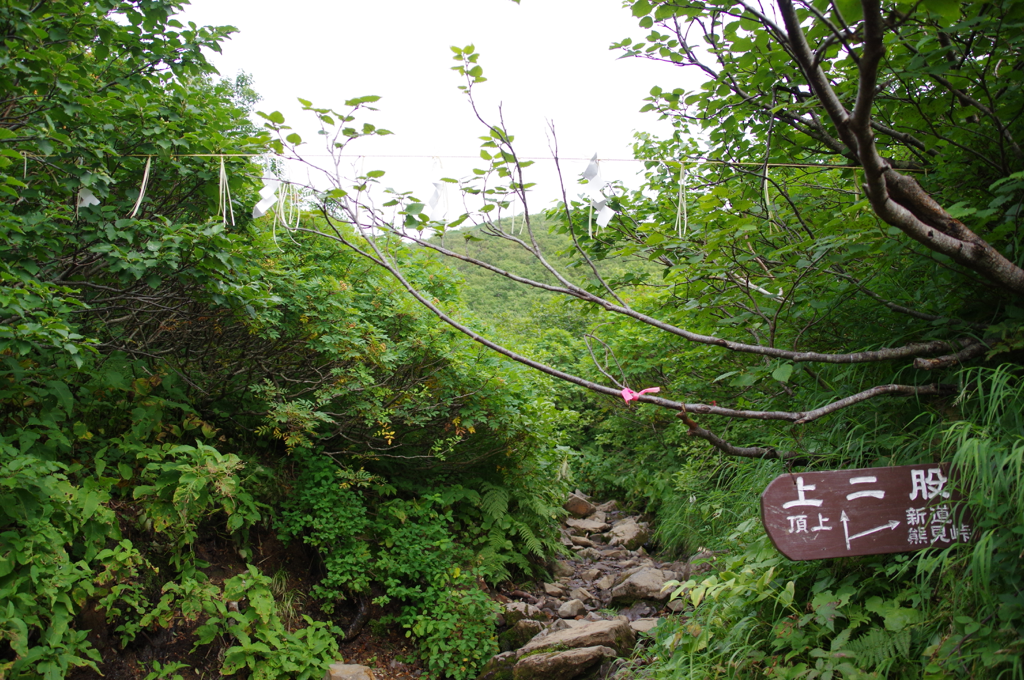f:id:hiyabier:20180614140705p:plain