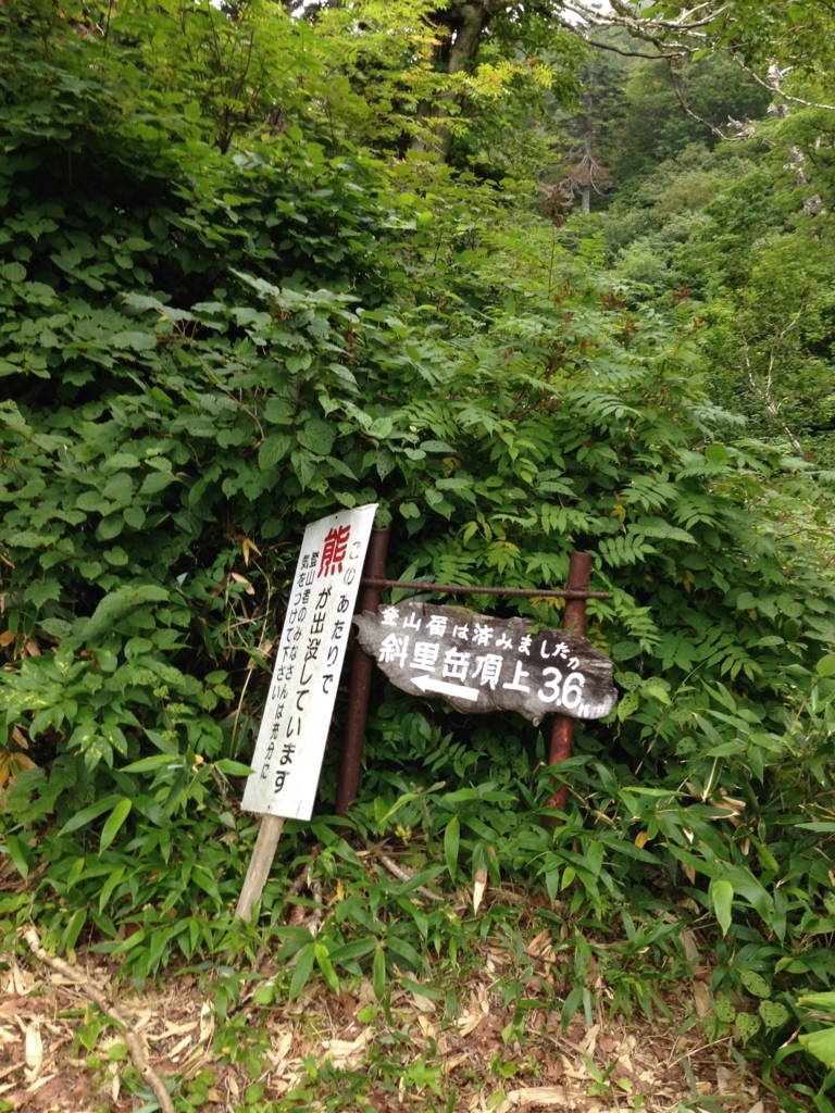 f:id:hiyabier:20180614143848j:plain