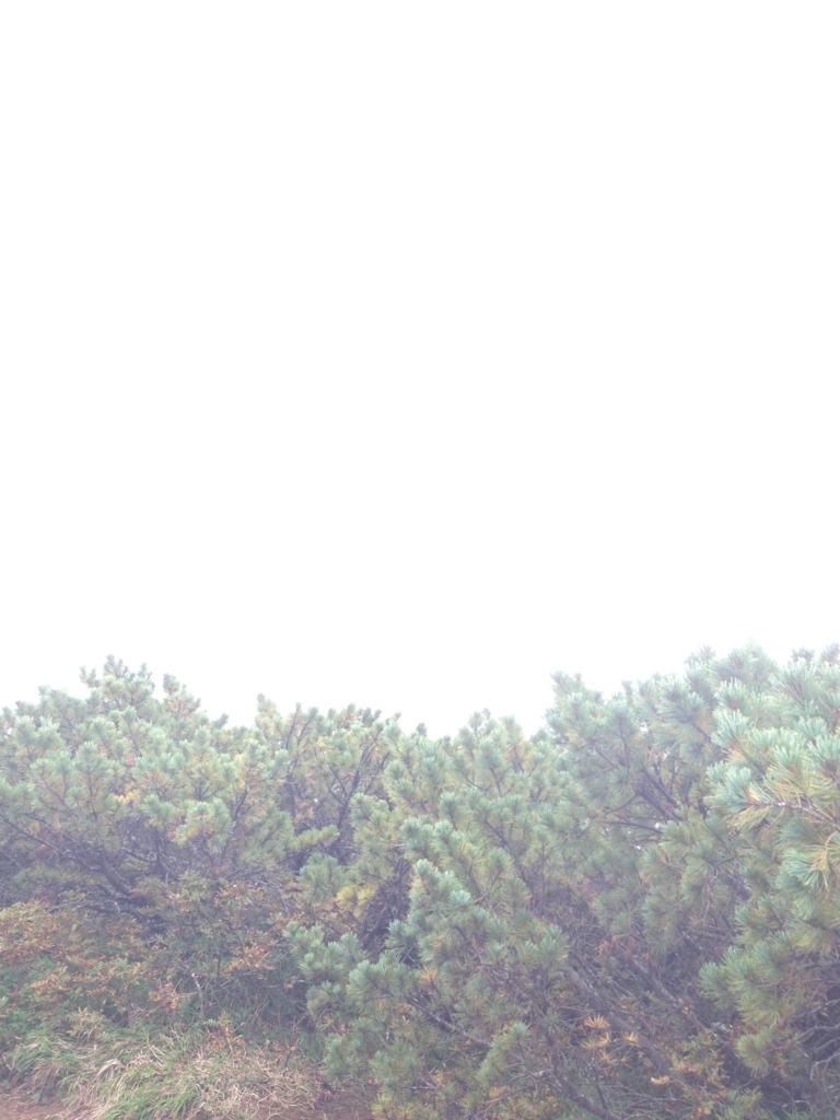 f:id:hiyabier:20180614144129j:plain