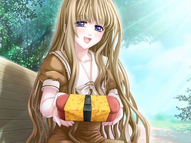 f:id:hiyabier:20190206182507j:plain