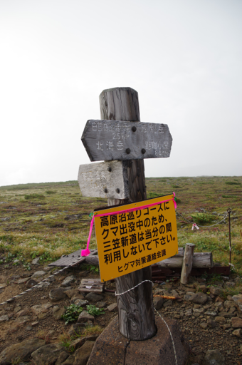 f:id:hiyabier:20191215183857p:plain