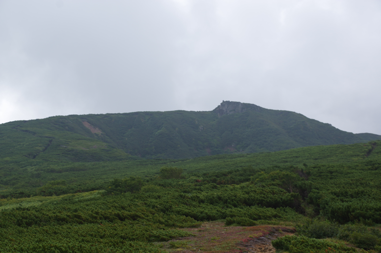 f:id:hiyabier:20191215183958p:plain