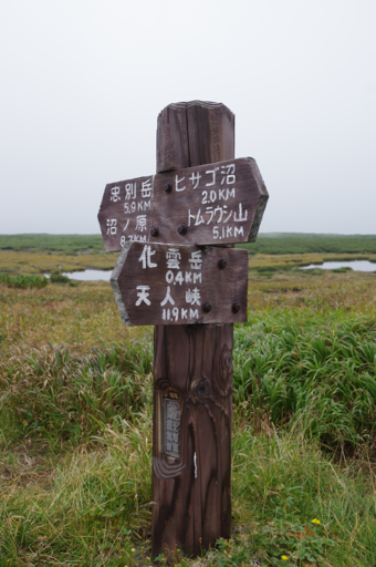 f:id:hiyabier:20191215184046p:plain