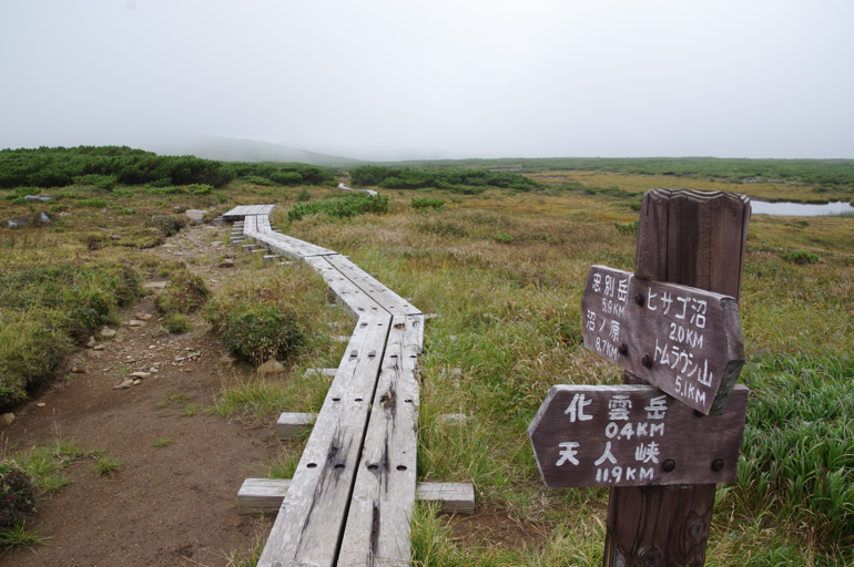 f:id:hiyabier:20191215184103p:plain