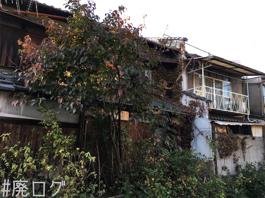 f:id:hiyapa:20171119230505j:image f:id:hiyapa:20171119230505j:image