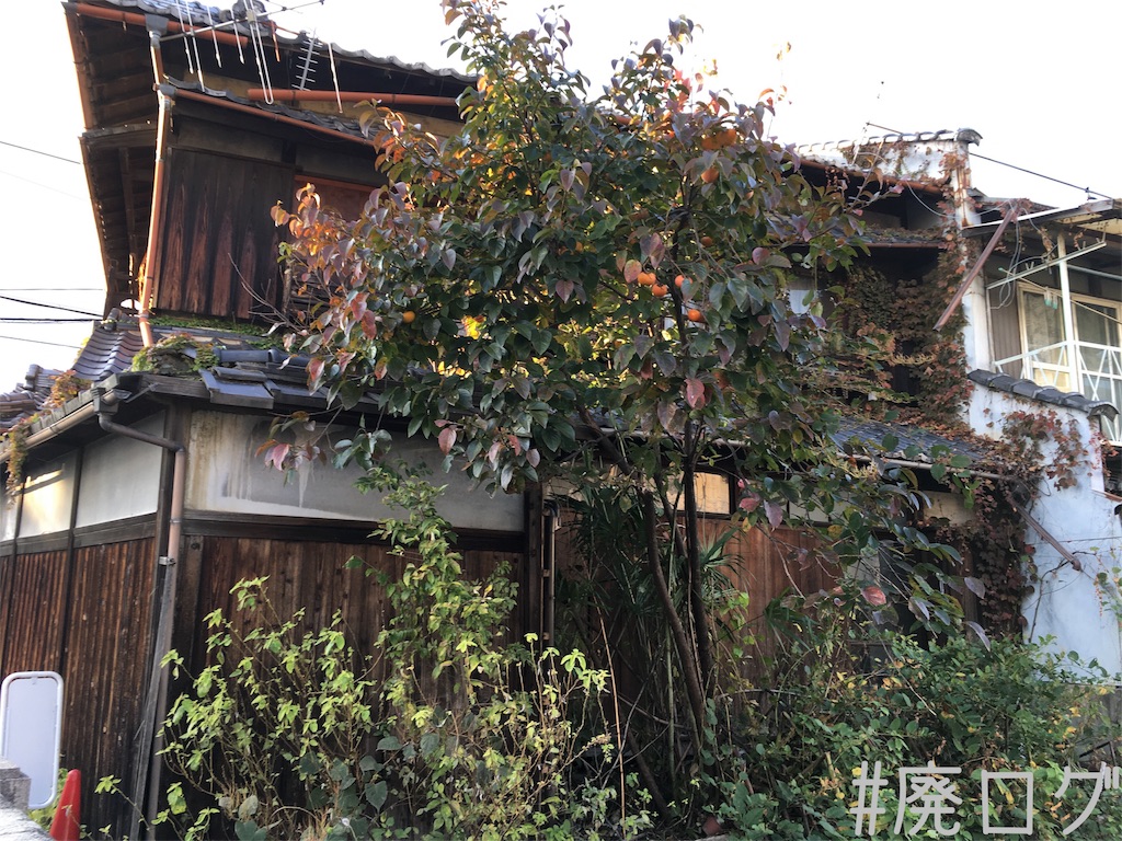 f:id:hiyapa:20171119230533j:image f:id:hiyapa:20171119230533j:image