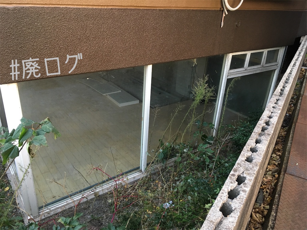 f:id:hiyapa:20171122215430j:image