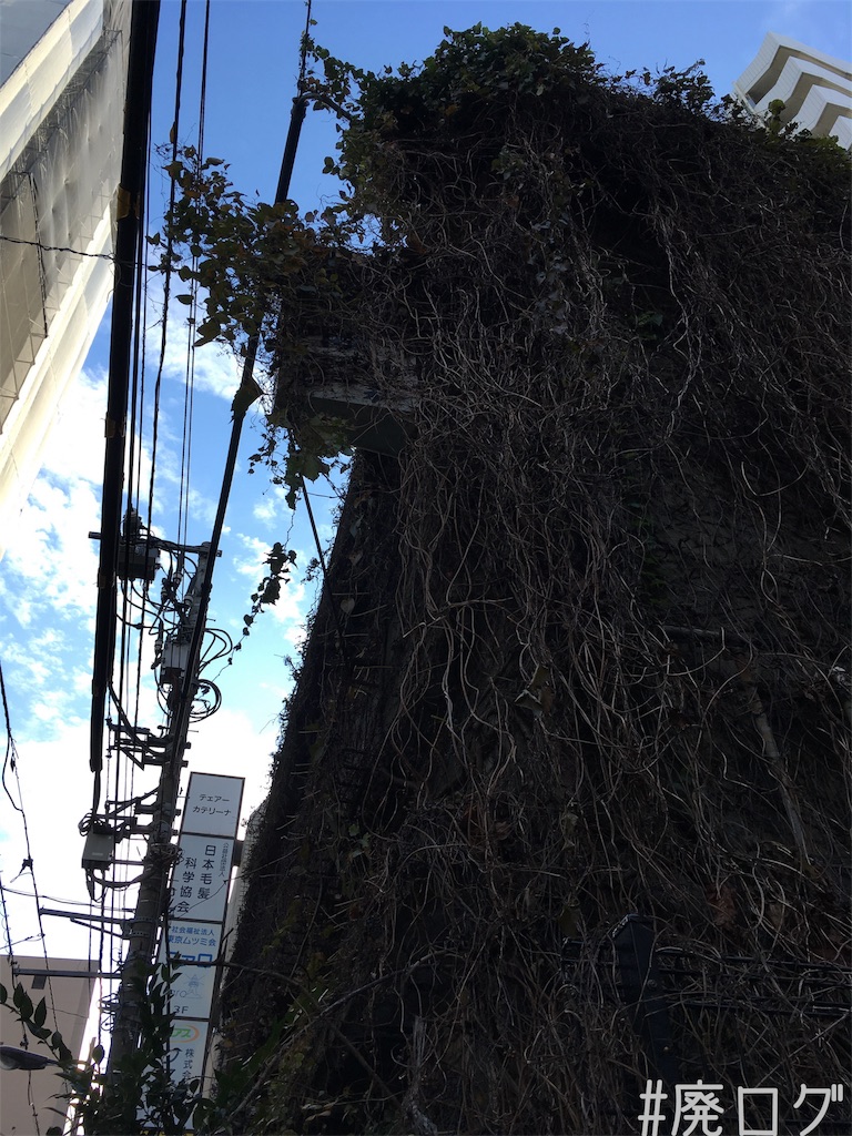 f:id:hiyapa:20171201221651j:image