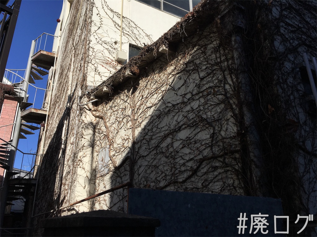 f:id:hiyapa:20180114222101j:image