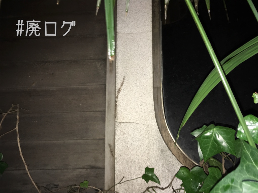 f:id:hiyapa:20180207215941j:image