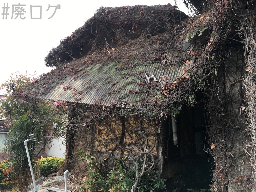 f:id:hiyapa:20180218205946j:image