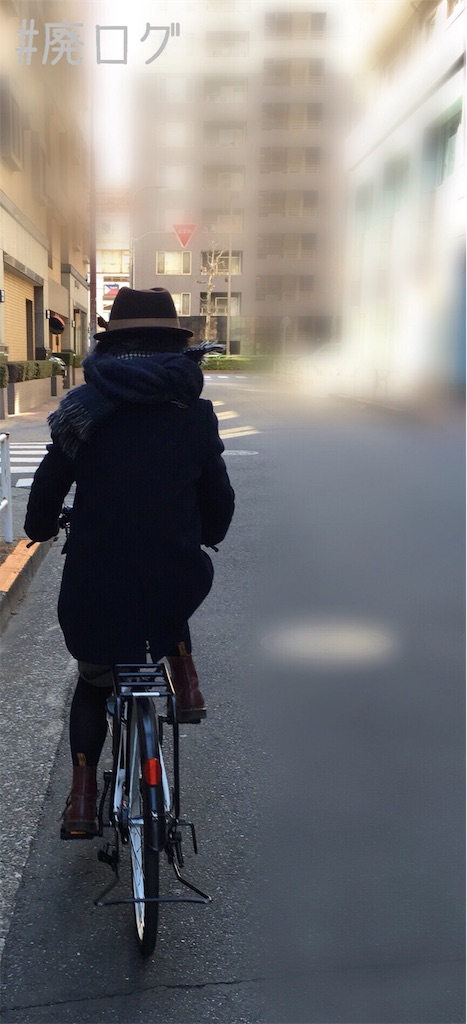 f:id:hiyapa:20180311123404j:image