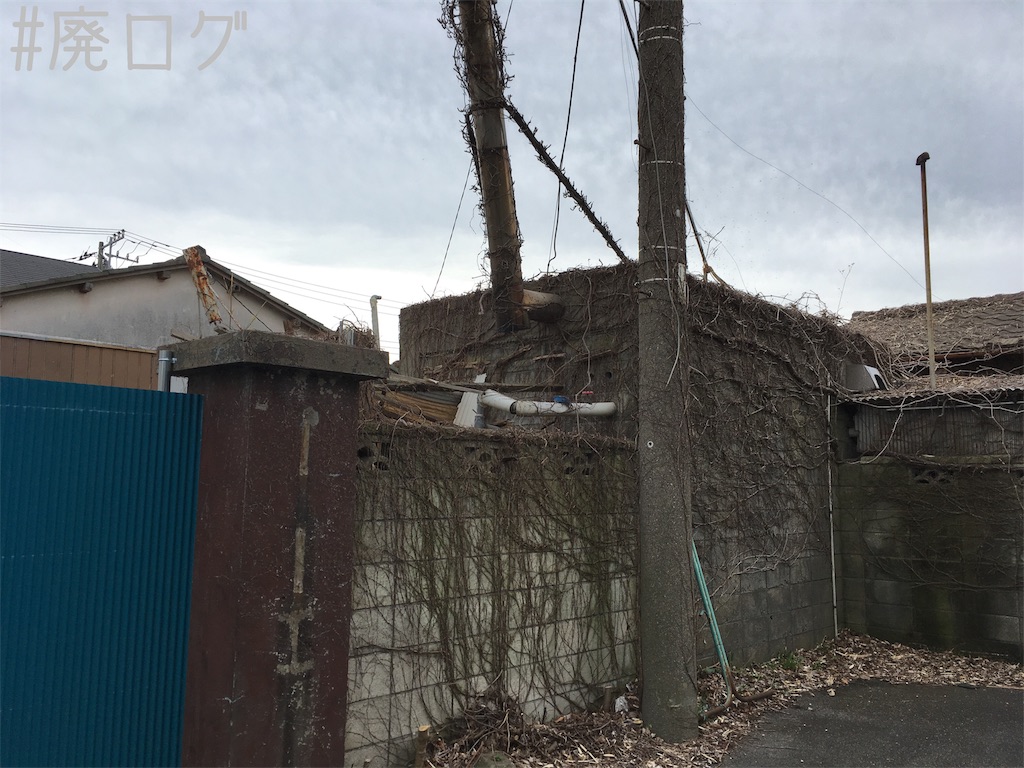 f:id:hiyapa:20180322220154j:image