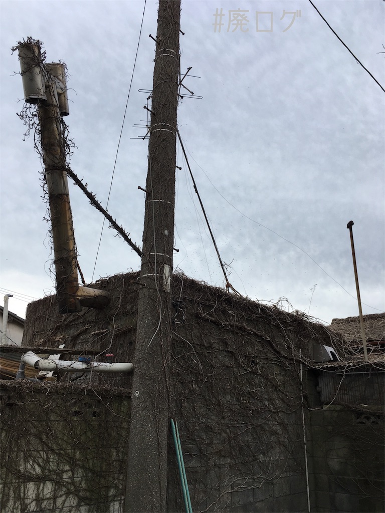 f:id:hiyapa:20180322220207j:image