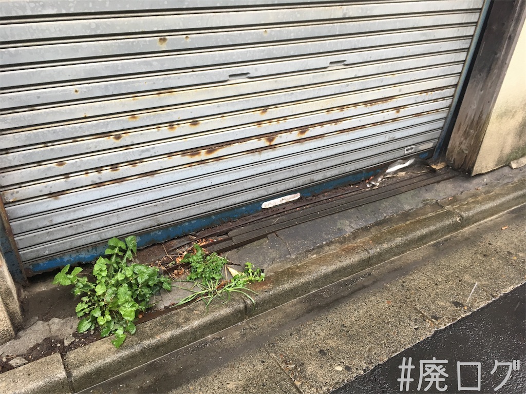 f:id:hiyapa:20180325204959j:image