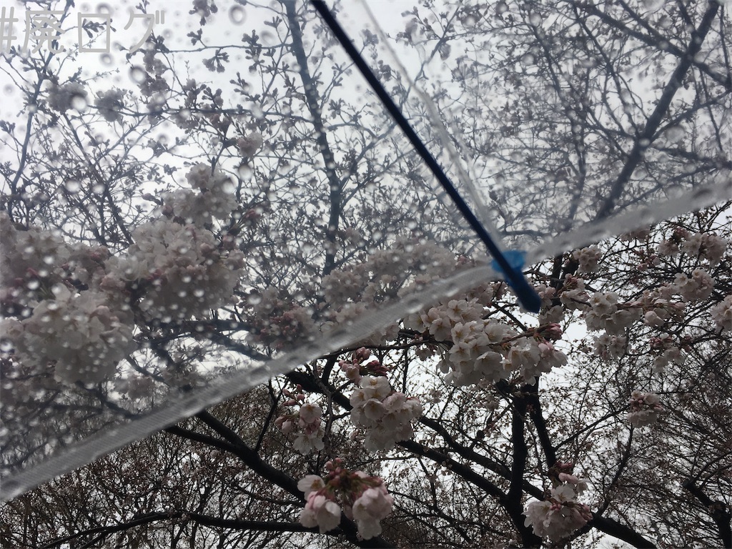 f:id:hiyapa:20180325205912j:image