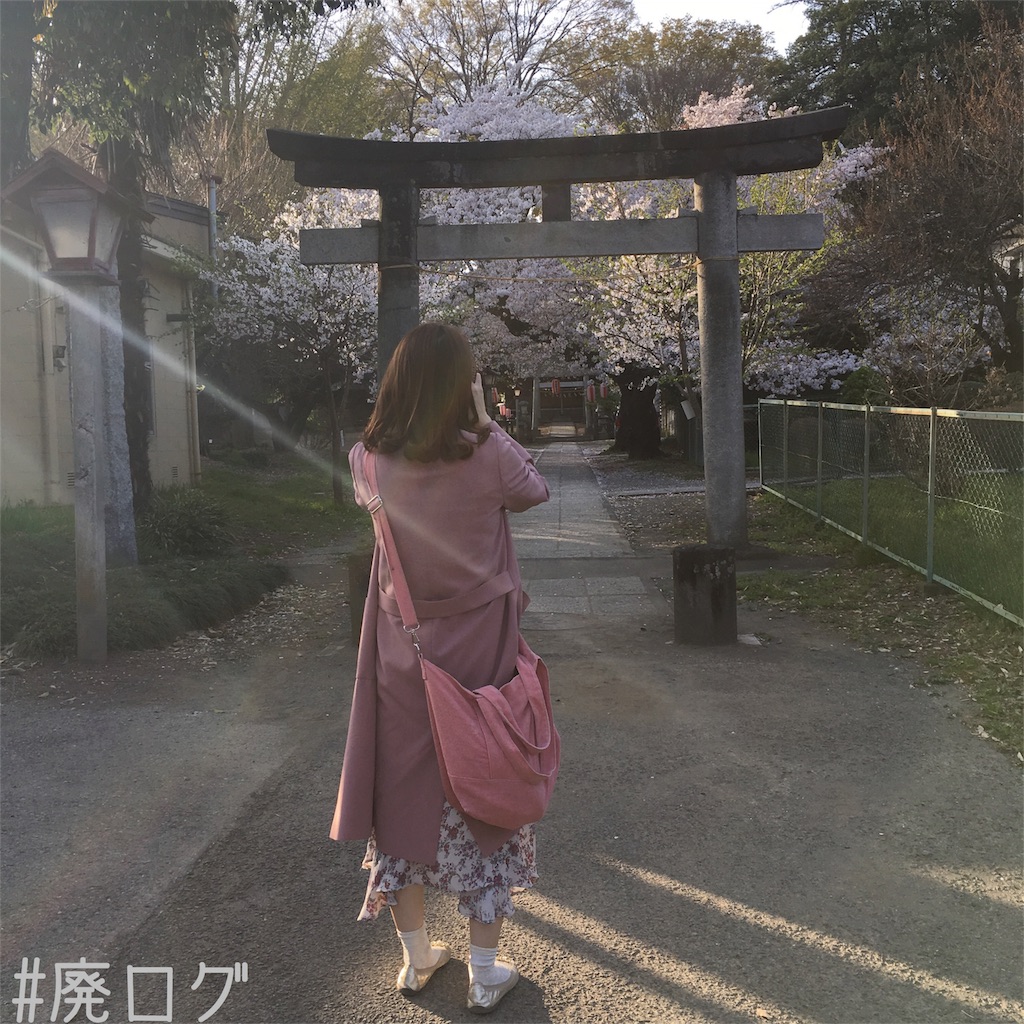 f:id:hiyapa:20180404221411j:image