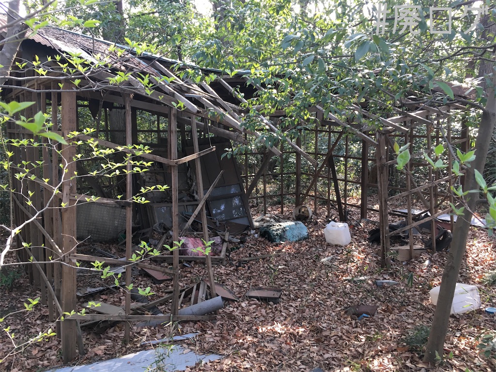 その84 東松山遊園地 東松山遊園地を目指して3 3 廃墟ガールの廃ログ その84 東松山遊園地 東松山遊園地を目指して3 3 廃墟ガールの廃ログ
