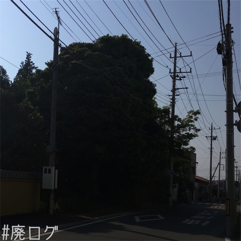f:id:hiyapa:20180503205320j:image