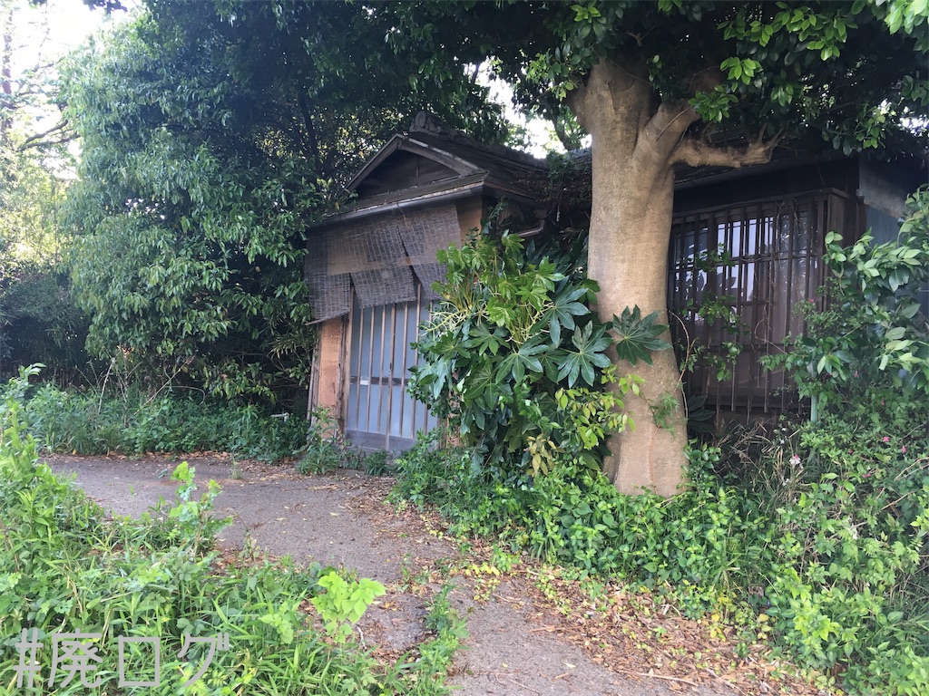 f:id:hiyapa:20180503205957j:image