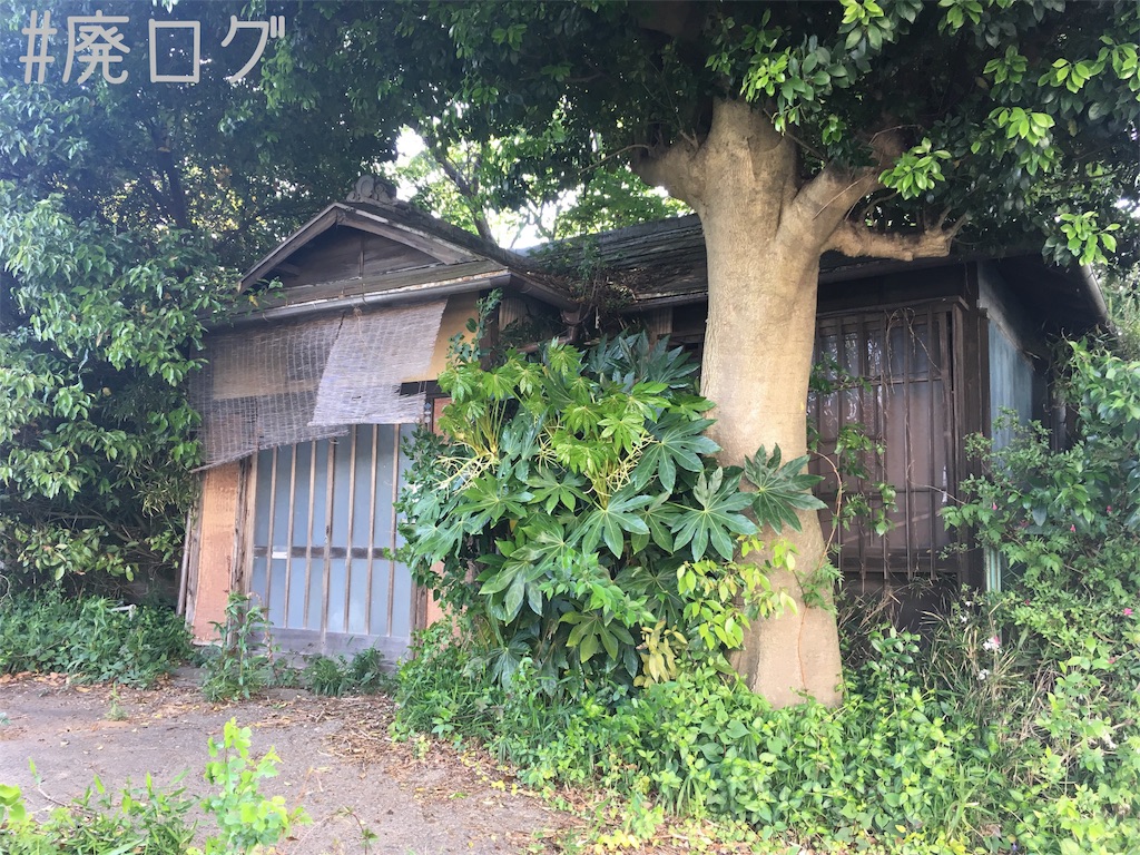 f:id:hiyapa:20180503210108j:image