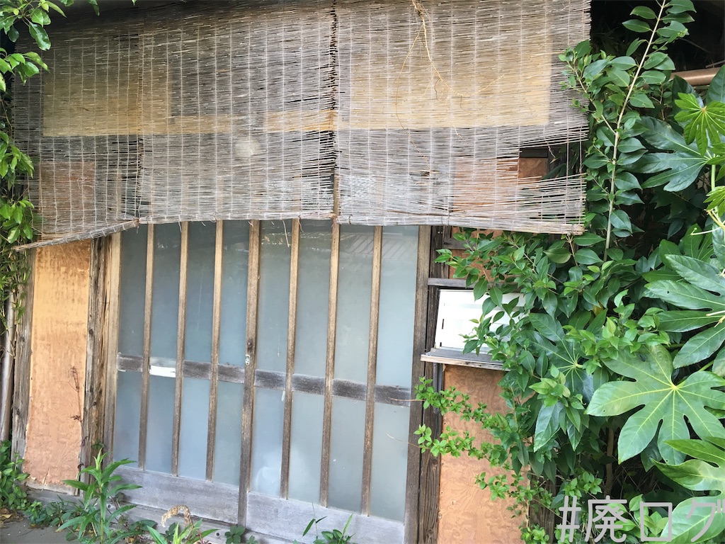 f:id:hiyapa:20180503210838j:image