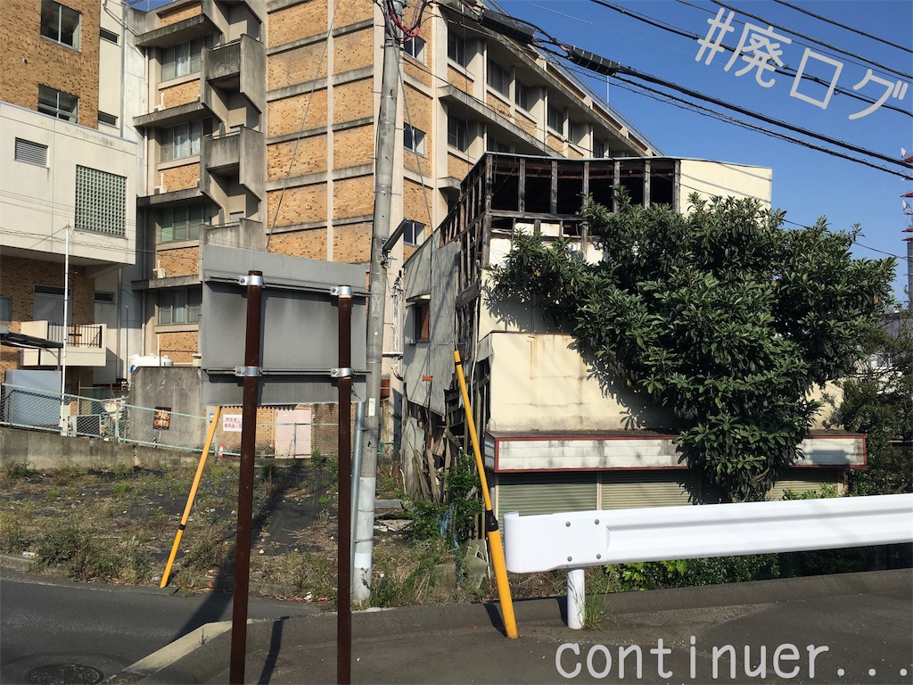 f:id:hiyapa:20180506175032j:image