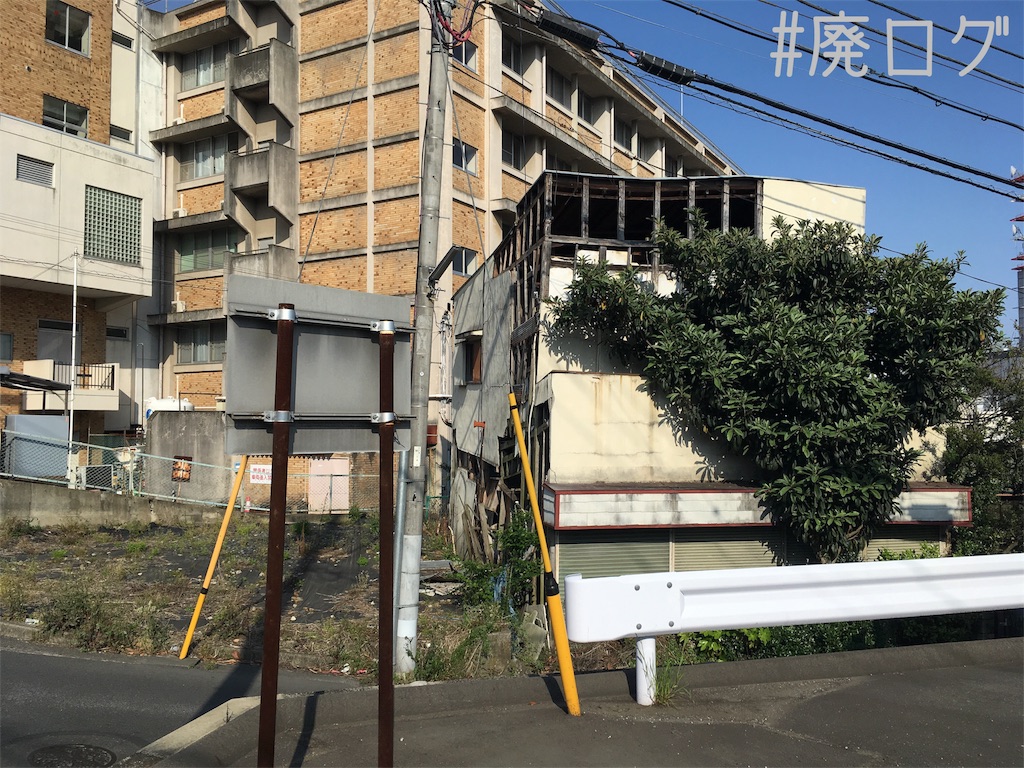 f:id:hiyapa:20180509213818j:image