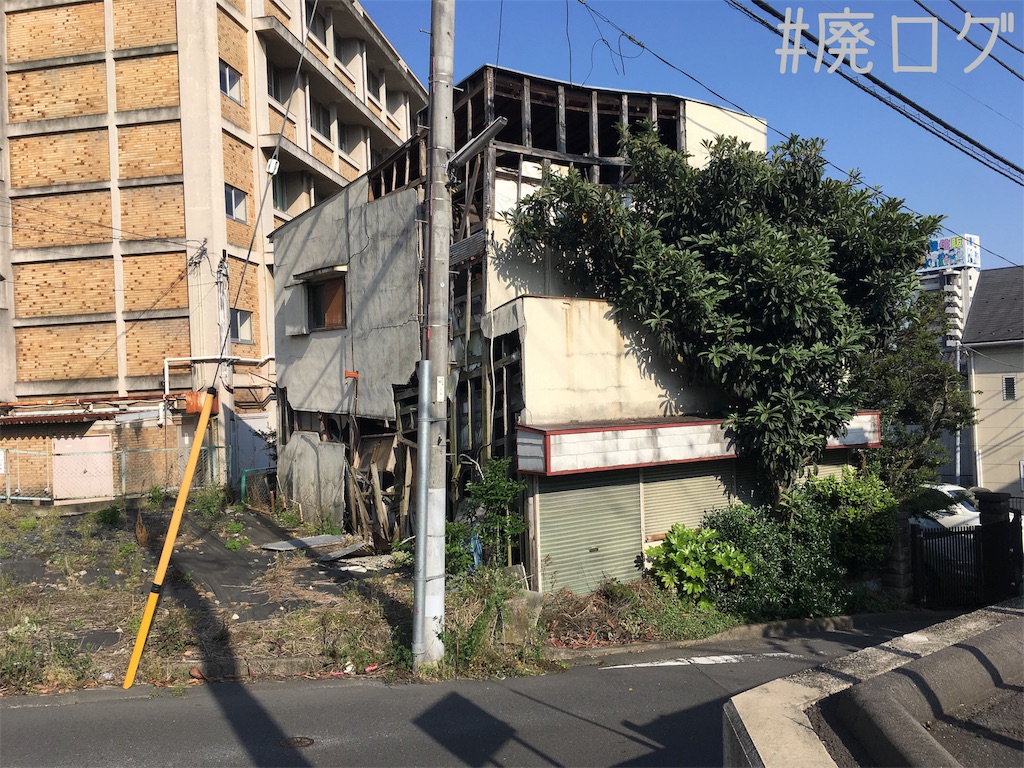 f:id:hiyapa:20180509214453j:image