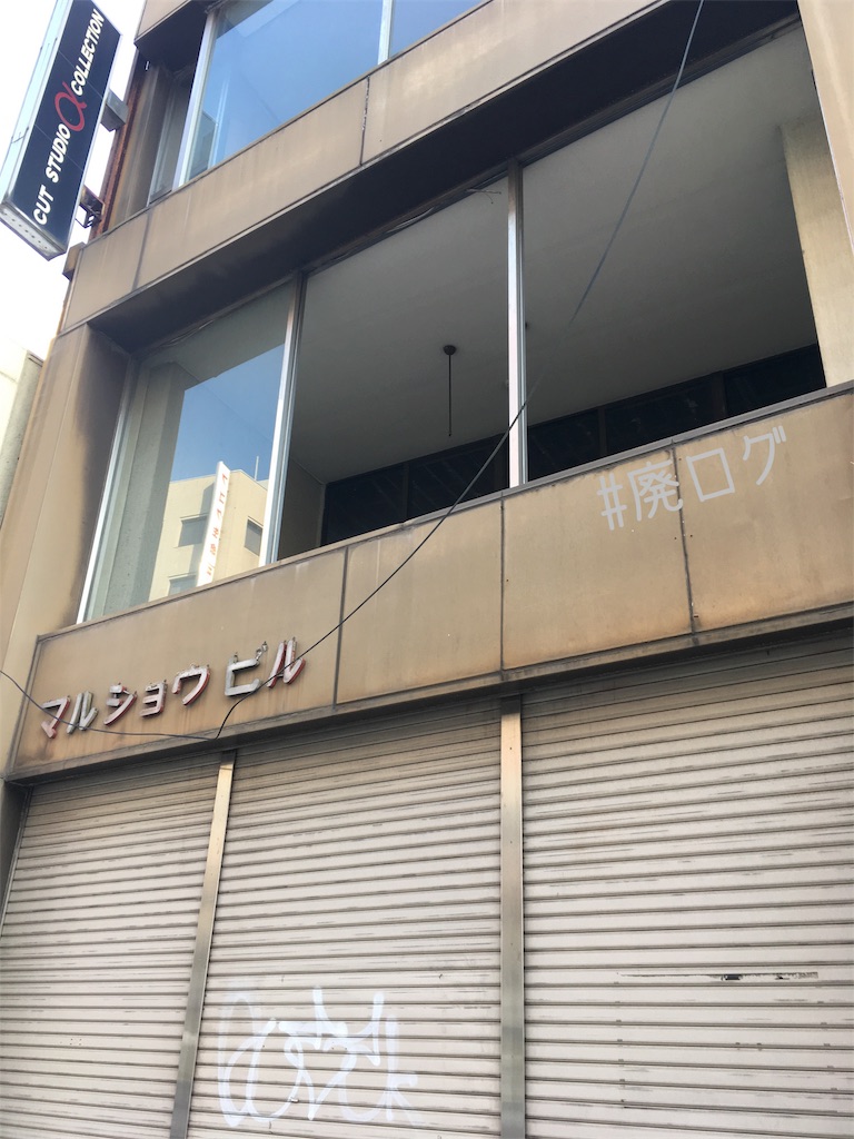 f:id:hiyapa:20180509215847j:image