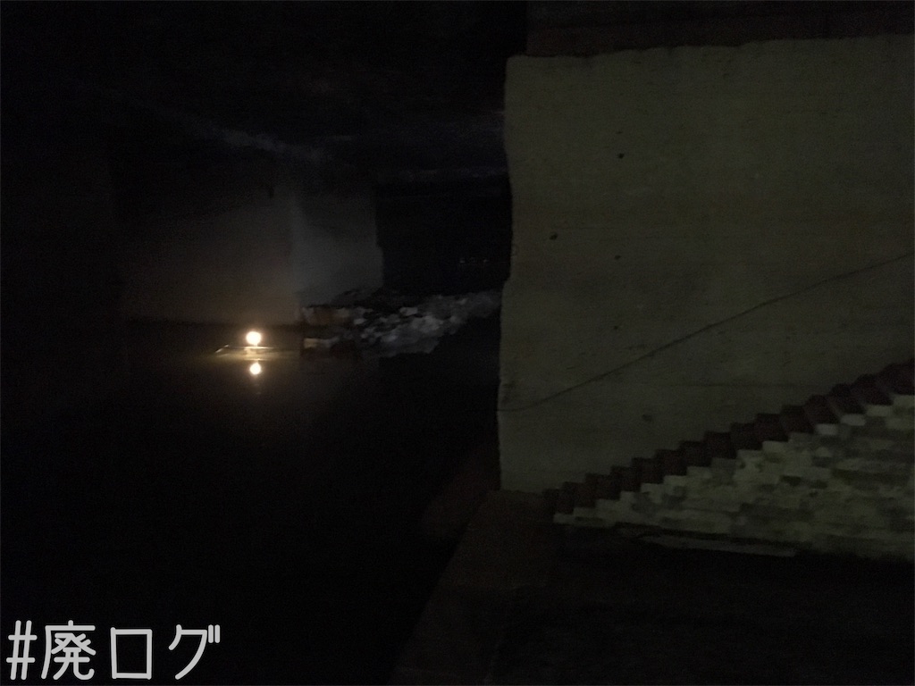 f:id:hiyapa:20180518232143j:image