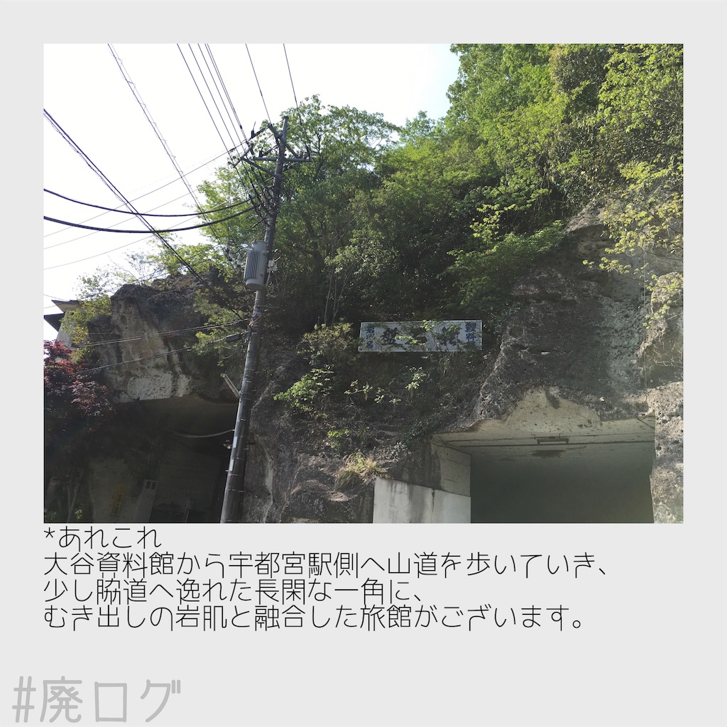 f:id:hiyapa:20180520203047j:image