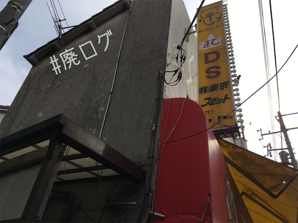 f:id:hiyapa:20180531213439j:image