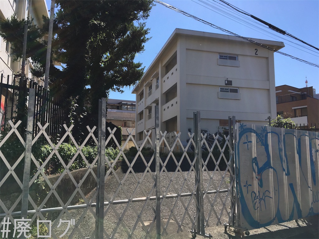 f:id:hiyapa:20180621214100j:image