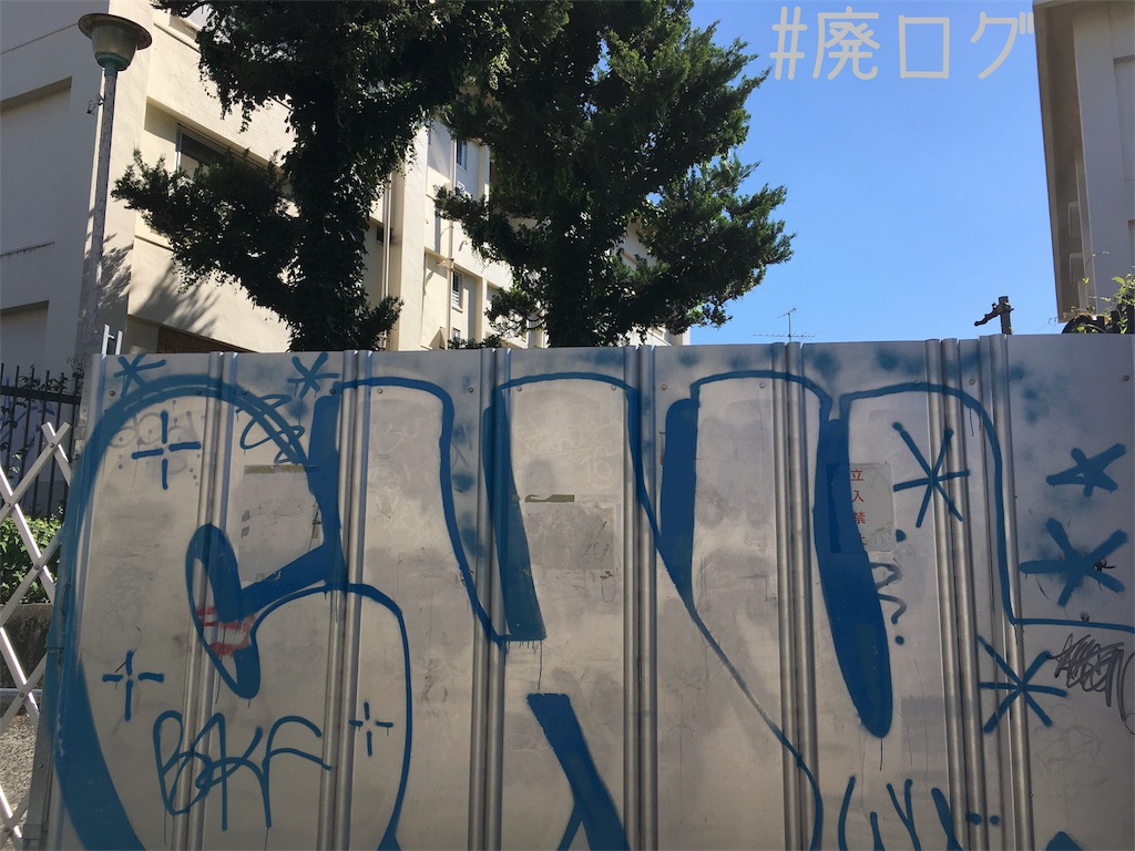 f:id:hiyapa:20180621214111j:image