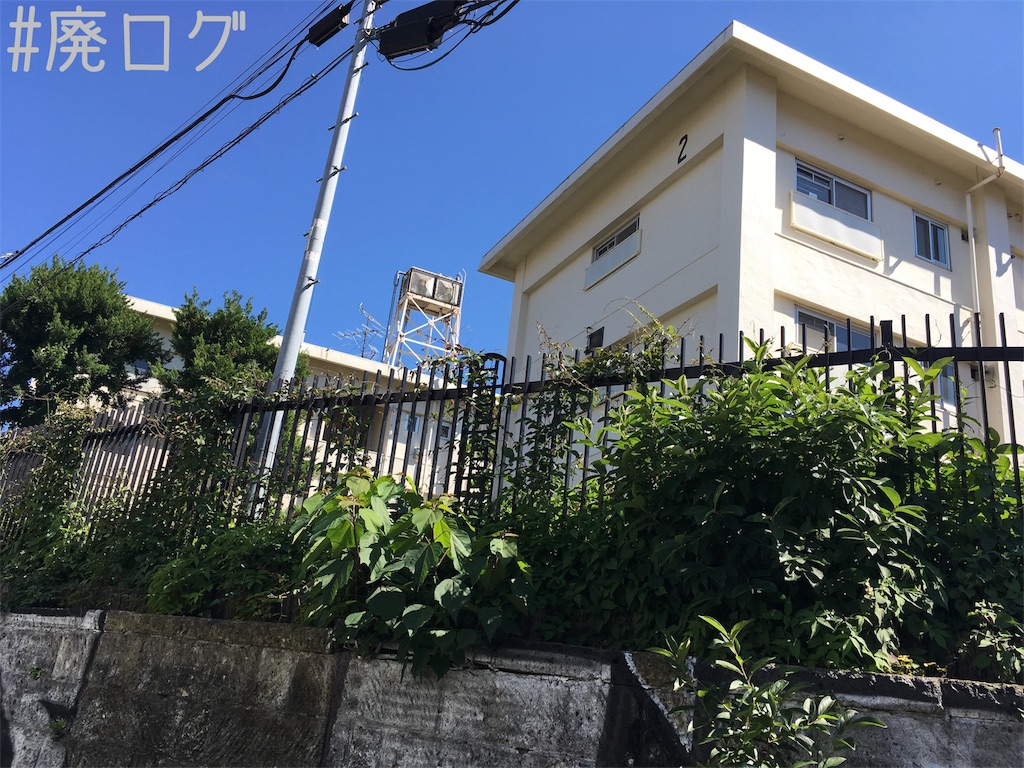 f:id:hiyapa:20180621214122j:image